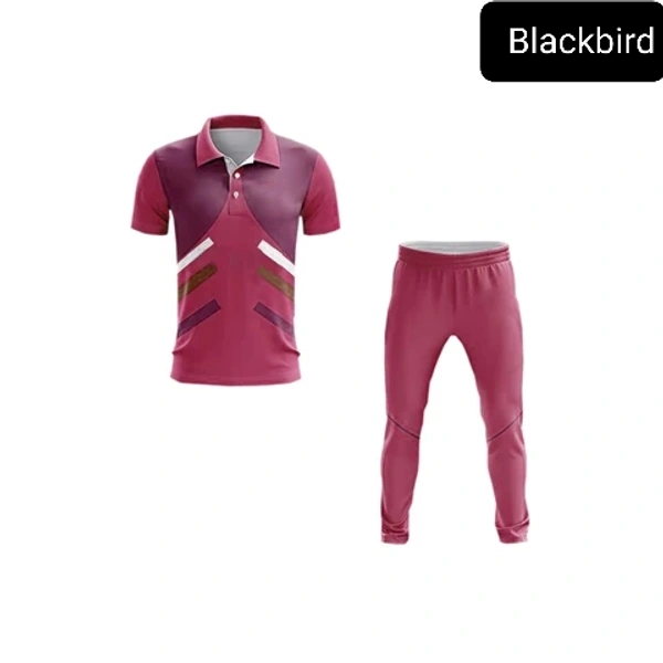 Blackbird Cricket Jersey Set - Guardsman Red, Regular, XL