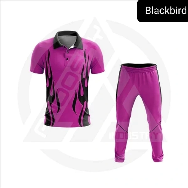 Blackbird Cricket Jersey Set - Violet Eggplant, Regular, M