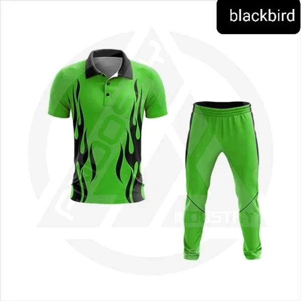 Blackbird Cricket Jersey Set - Japanese Laurel, Regular, S
