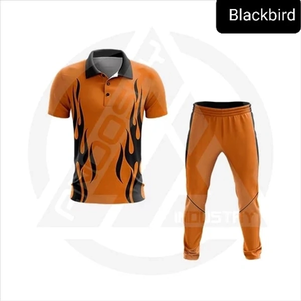 Blackbird Cricket Jersey Set - Web Orange, Regular, M