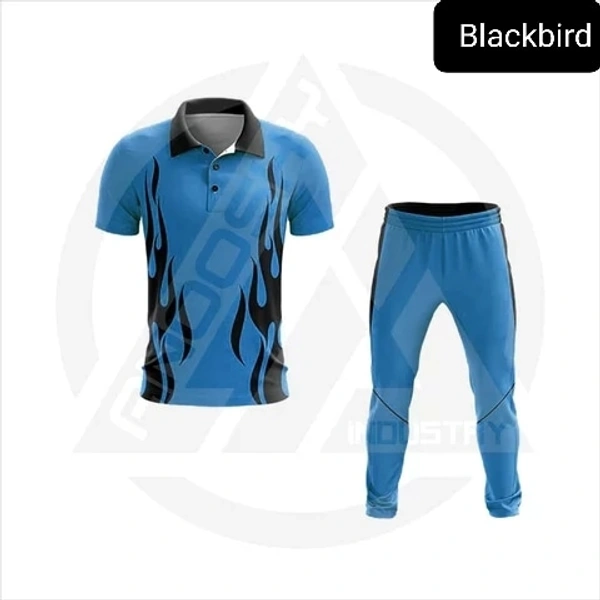 Blackbird Cricket Jersey Set - Blue, Regular, M