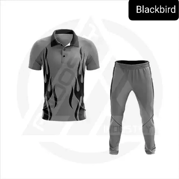 Blackbird Cricket Jersey Set - Gray, Regular, XL