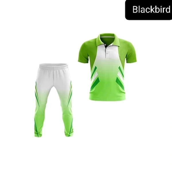 Blackbird Cricket Jersey Set - Green, Regular, XL