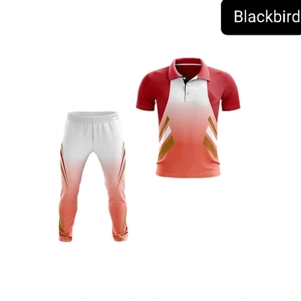 Blackbird Cricket Jersey Set - Web Orange, Regular, M