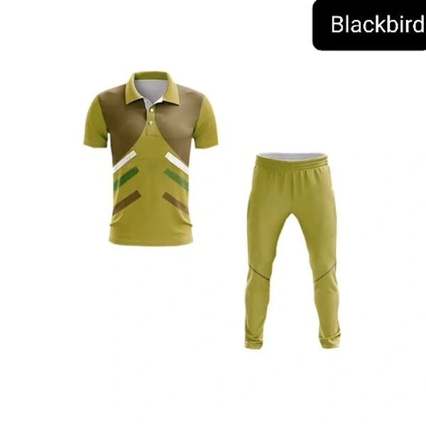 Blackbird Cricket Jersey Set - Bourbon, Regular, XL