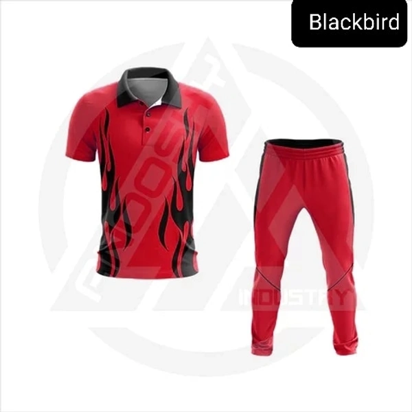 Blackbird Cricket Jersey Set - Red, Regular, S