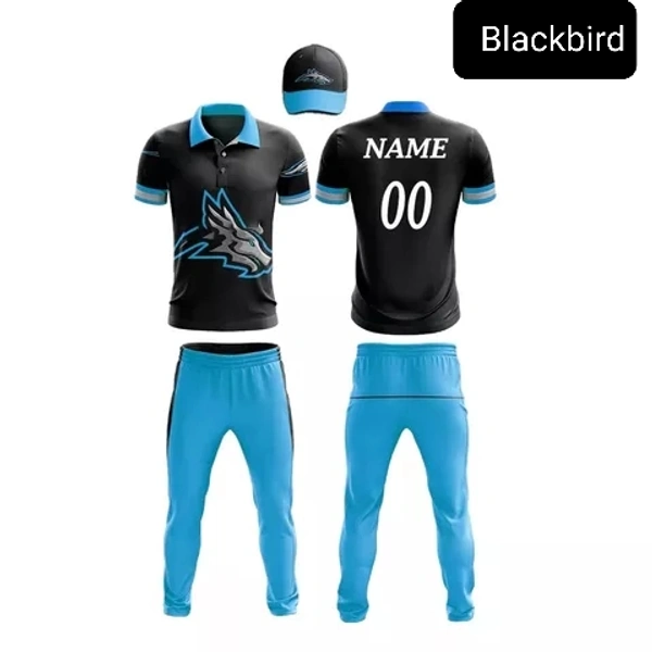 Blackbird Cricket Jersey Set - Malibu, Regular, M