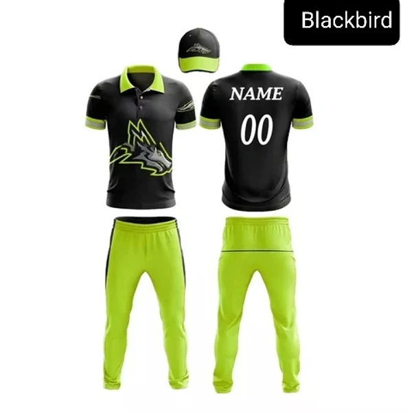 Blackbird Cricket Jersey Set - Green, Regular, XL