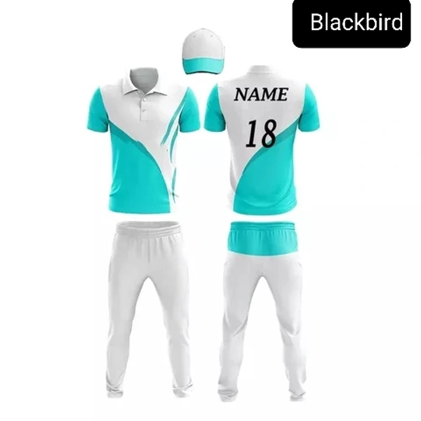 Blackbird Cricket Jersey Set - Cyan Aqua, Regular, XXL