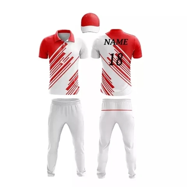Blackbird Cricket Jersey Set - Red, Regular, XL