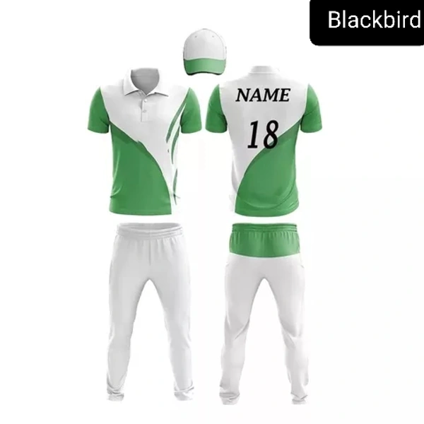 Blackbird Cricket Jersey Set - Harlequin, Regular, L