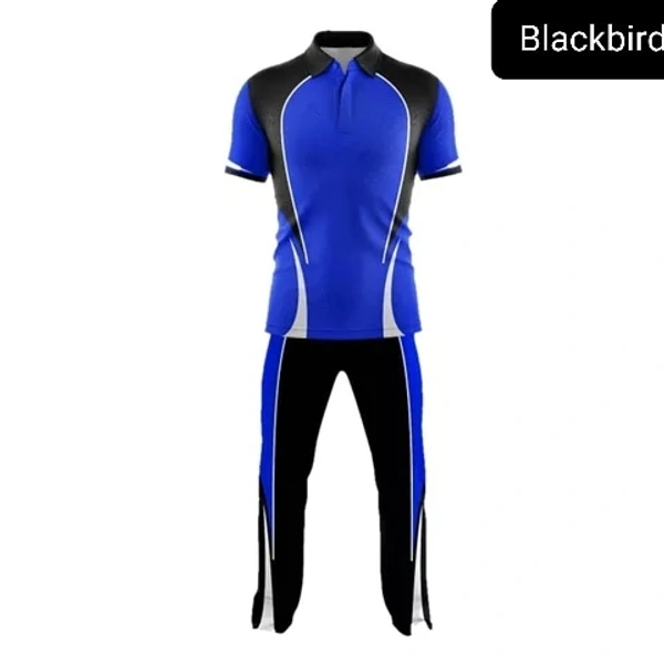Blackbird Cricket Jersey Set - Blue, Regular, M