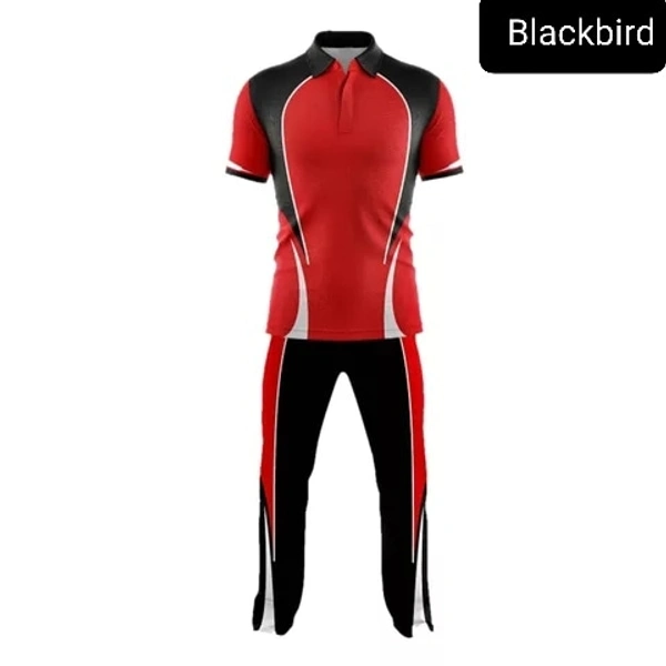 Blackbird Cricket Jersey Set - Red, Regular, S