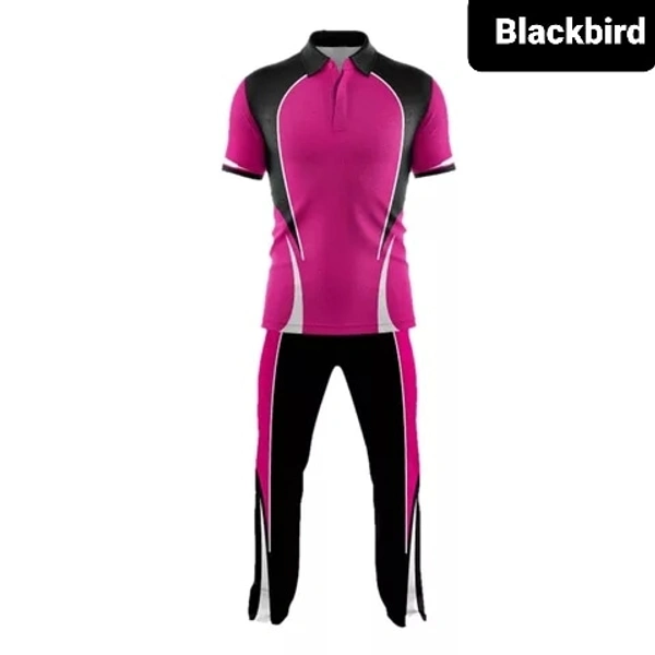 Blackbird Cricket Jersey Set - Violet Eggplant, Regular, L