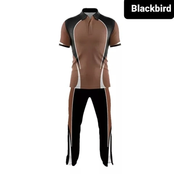 Blackbird Cricket Jersey Set - Cinnamon, Regular, XXL