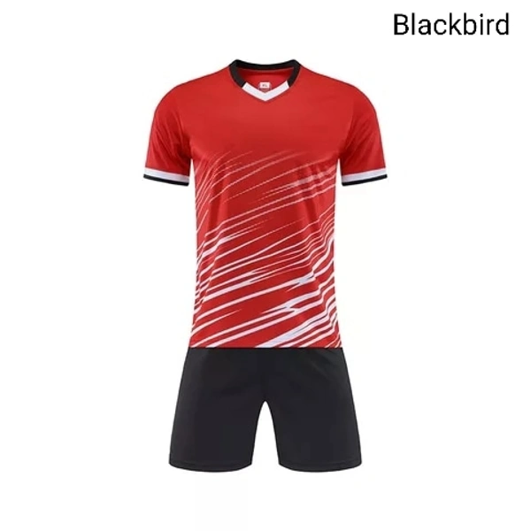 Blackbird Soccer Jersey Set - Red, Regular, L