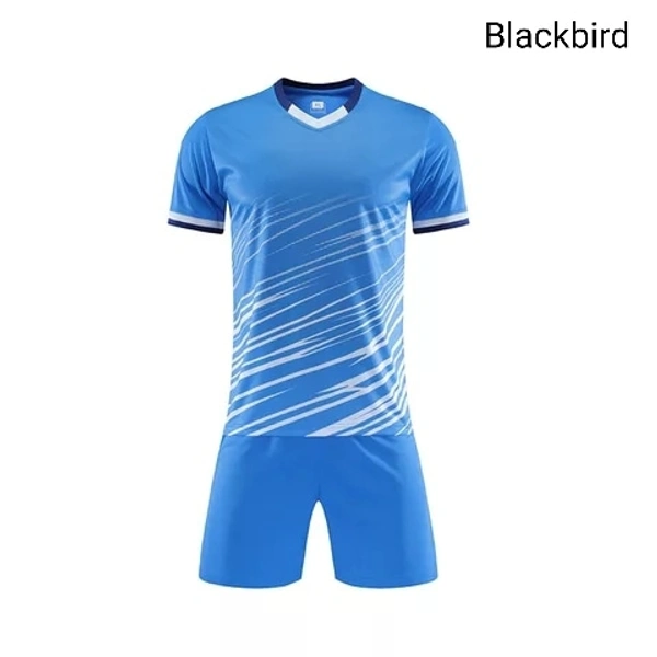 Blackbird Soccer Jersey Set - Azure Radiance, Regular, L