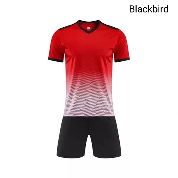 Blackbird Soccer Jersey Set - Red, Regular, M