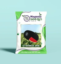 JUPITOR- Hybrid Watermelon Seeds