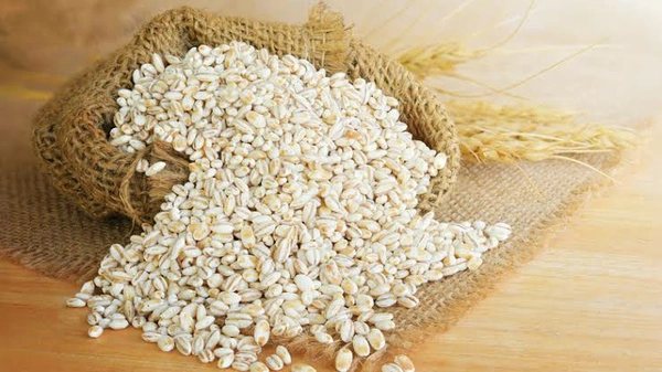 Barley Seeds - 500g