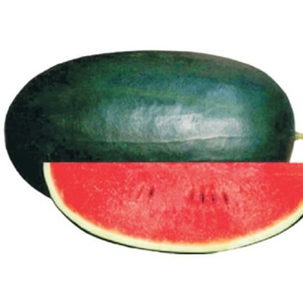 Water Melon  - 1Kg