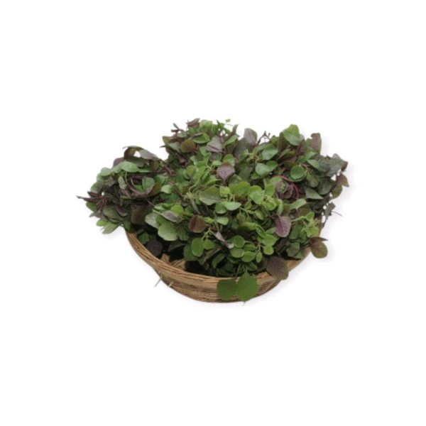 Odisha Koshala Saaga – Amaranth Leaves