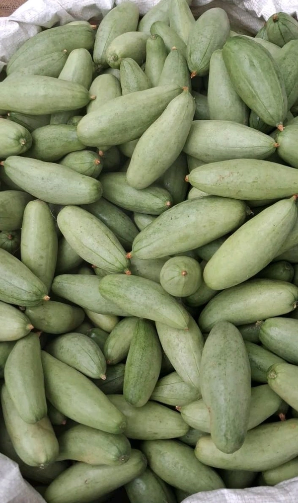 Odisha Desi Pointed Gourd – Potal
