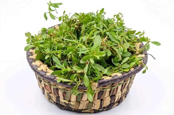 Odisha Special Pita Saga – Nutritious & Healthy Saag