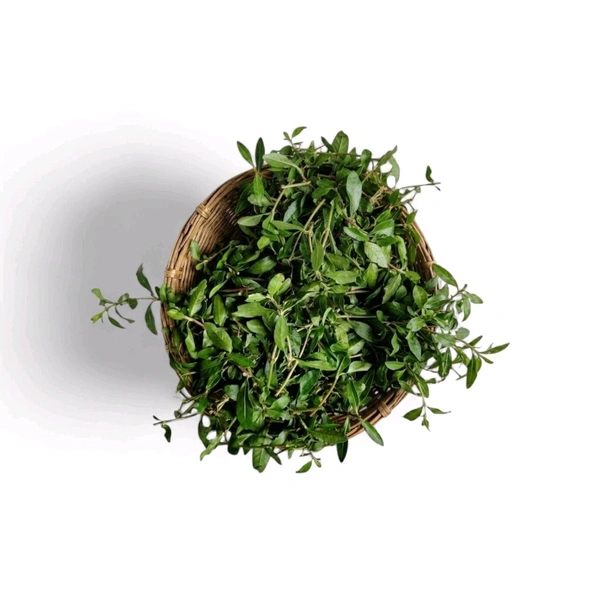 Odisha Madaranga Saga 