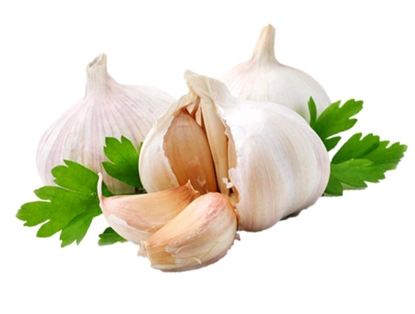 Garlic 