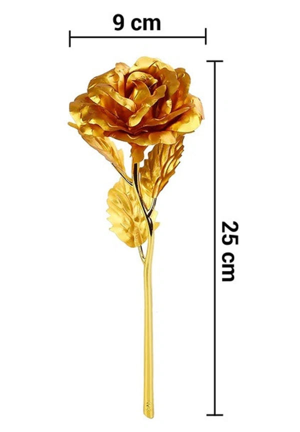 Gold Rose with Hard Box