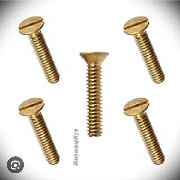 Screw 100pc - 1" R60