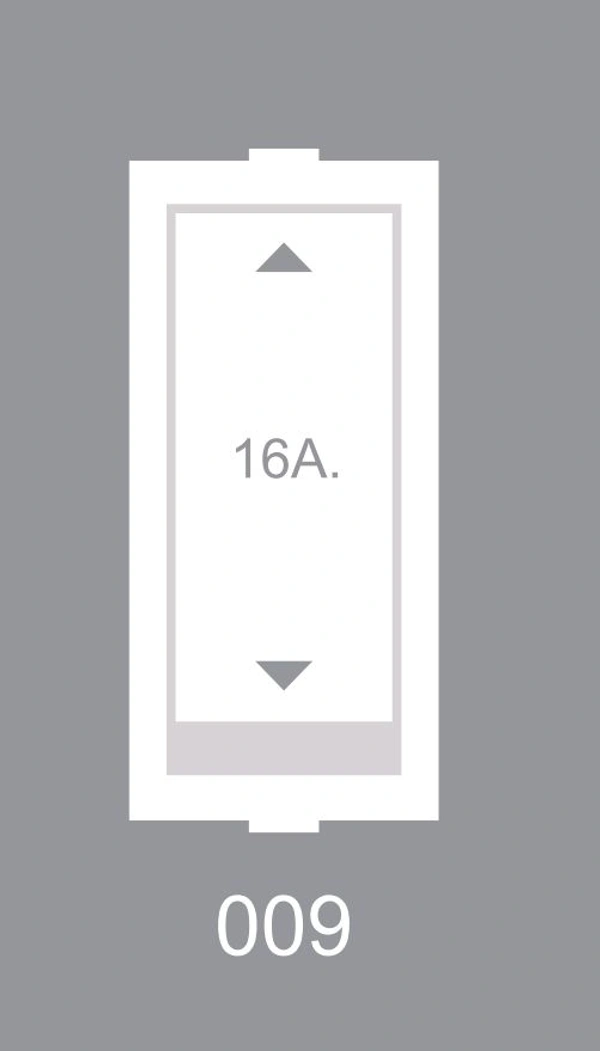 16 A 2 Way Switch