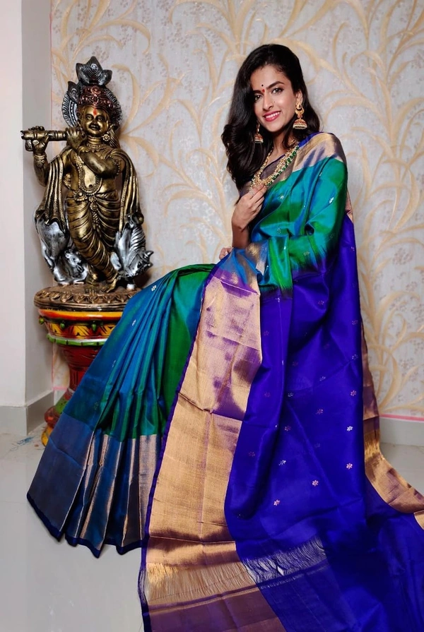 Coimbatore Pattu Handloom Sarees