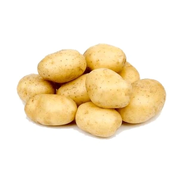 Aaloo 