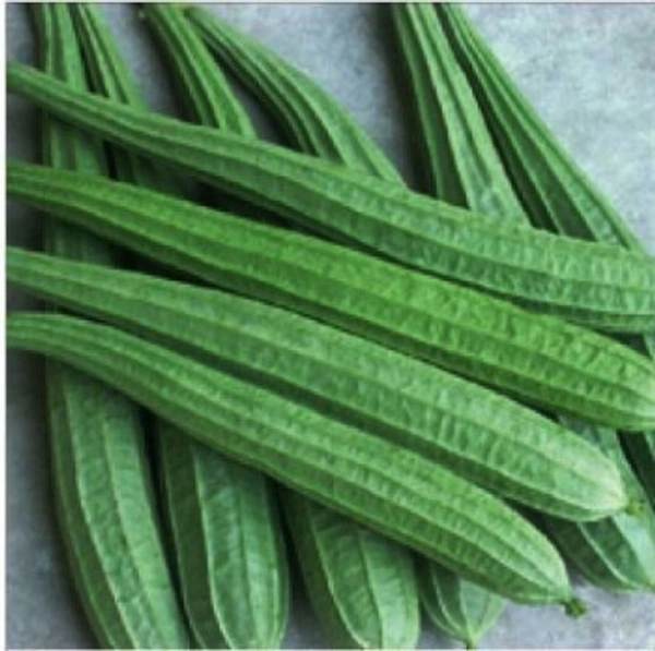 06.Ridge Gourd /Toree/Jahni - 500g