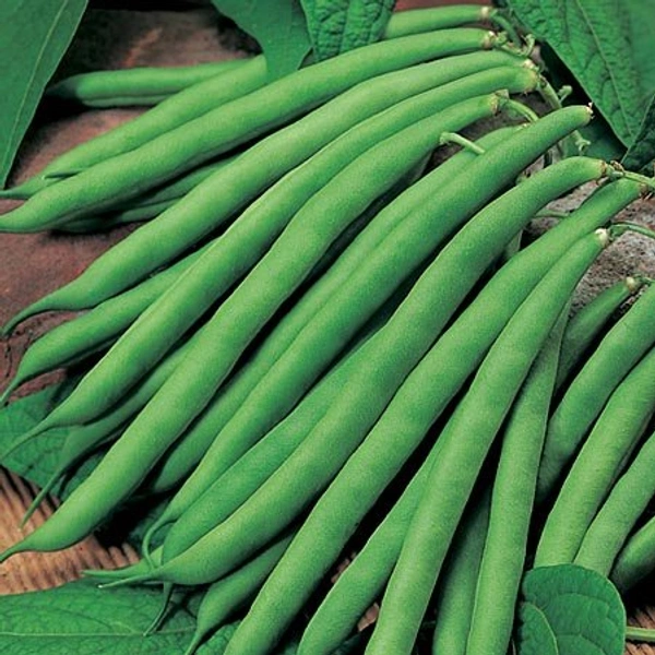 27.Beans- Haricots - 500g
