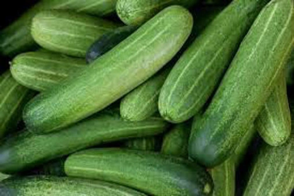 02.Cucumber/Kheera/Kakudi - 500g