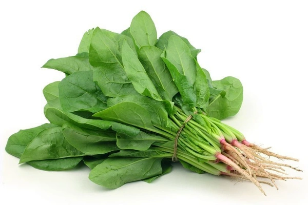 Palak - 4 bunch