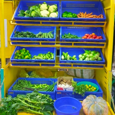 Fresh Vegetables