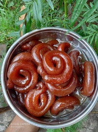 ছানার ঝিলিপি (Chanar Jhilipi)