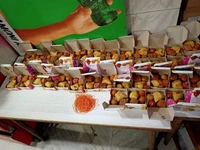 Special PACKET 150
