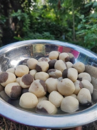 Two In One Rasogolla ( টু ইন ওয়ান রসগোল্লা)