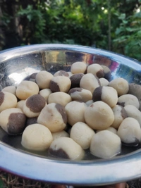 Two In One Rasogolla ( টু ইন ওয়ান রসগোল্লা)