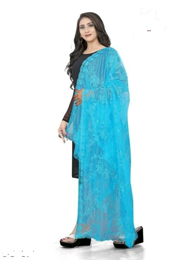 Embroidered Fancy Women DupattasFabric: Net - Aqua, Free Size (Length Size: 2.25 m)