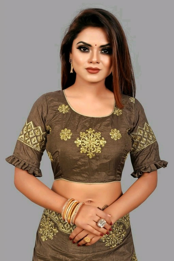 Dola Sill Fashionable Sarees With Blouse - Gray, Free Size