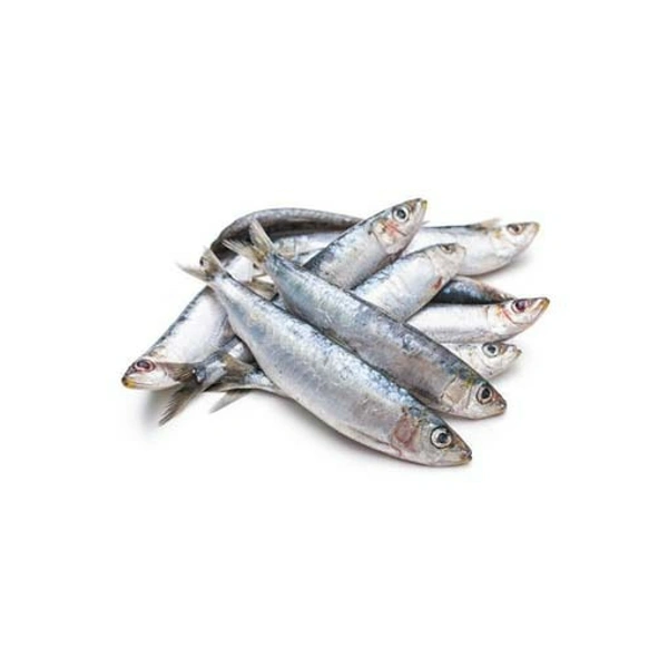 Sardines/chala
