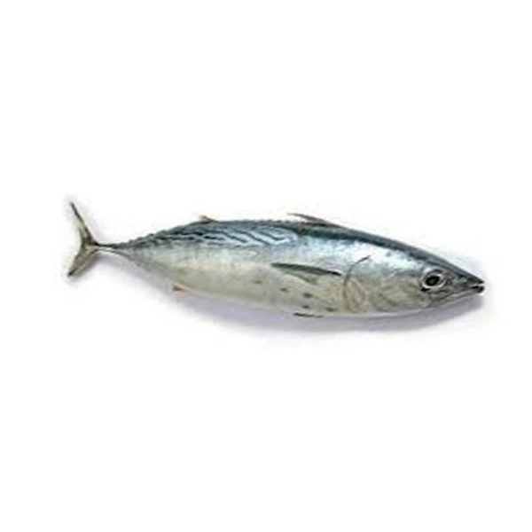 Yellowfin Tuna/kera(cut Pieces)/Kg