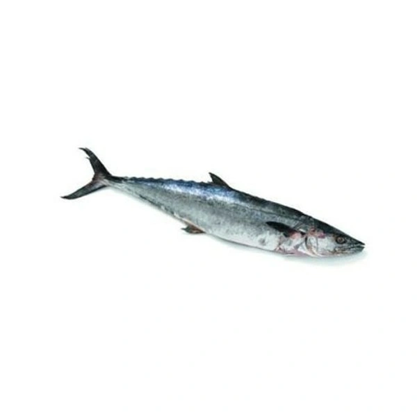 King Fish/neymeen pcs /kg