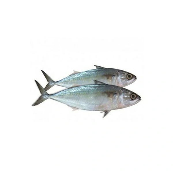 Mackerel/ayala/Kg